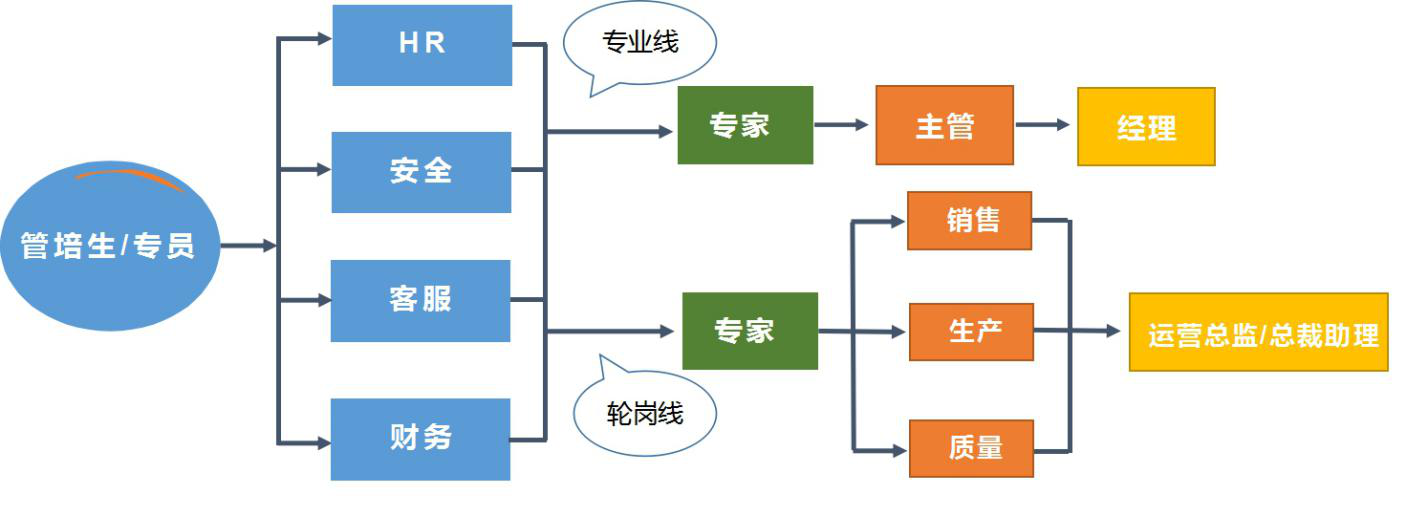 3.行政体系.png